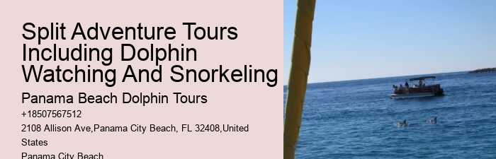 Are Panama City Beach dolphin tours wheelchair accessible