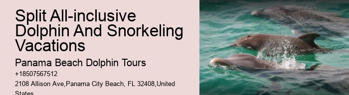 Dolphin Snorkeling Adventures Departing From Split