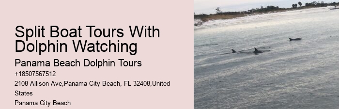 Split Private Yacht Rentals For Dolphin And Snorkeling Excursions