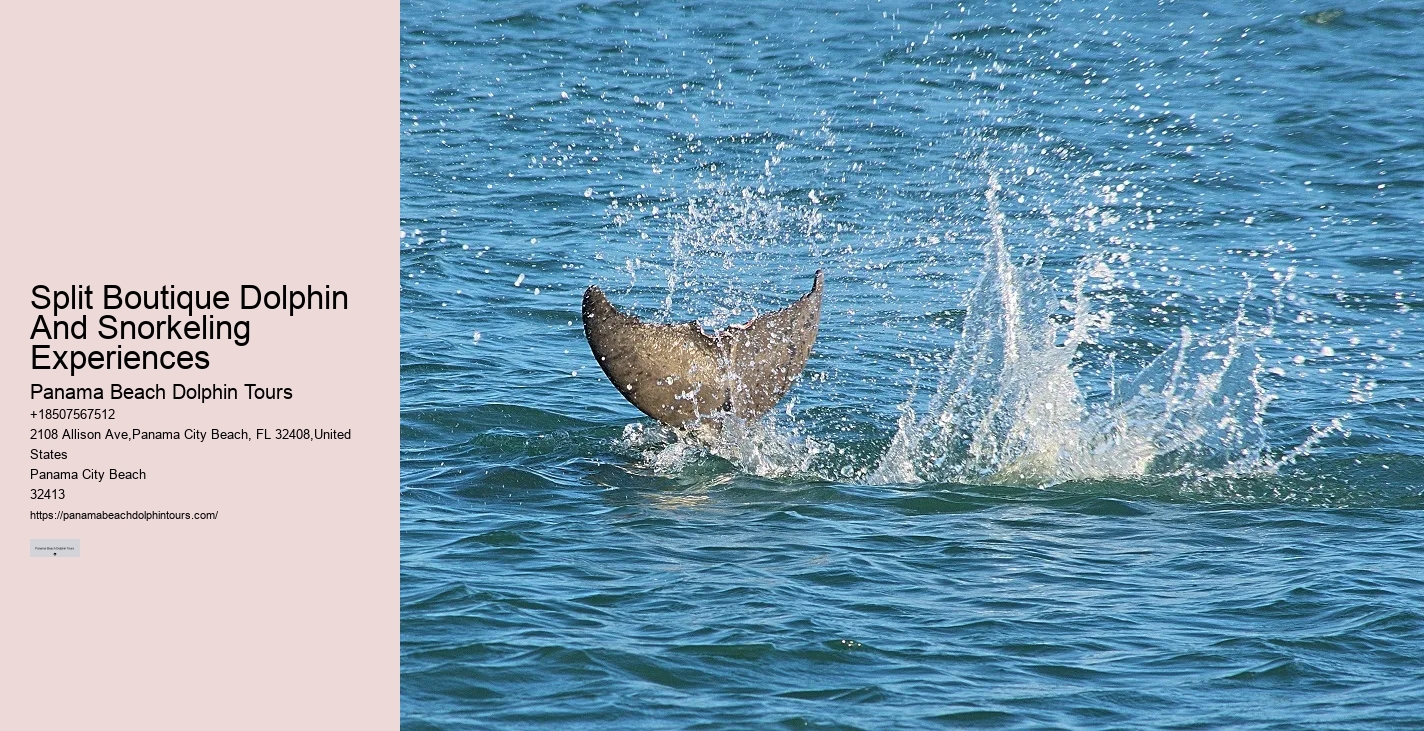 Do Dolphins Ever Bite Hooks