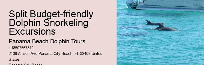With Dolphins