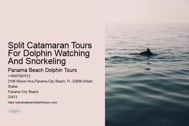 Guided dolphin tours in Panama City Beach