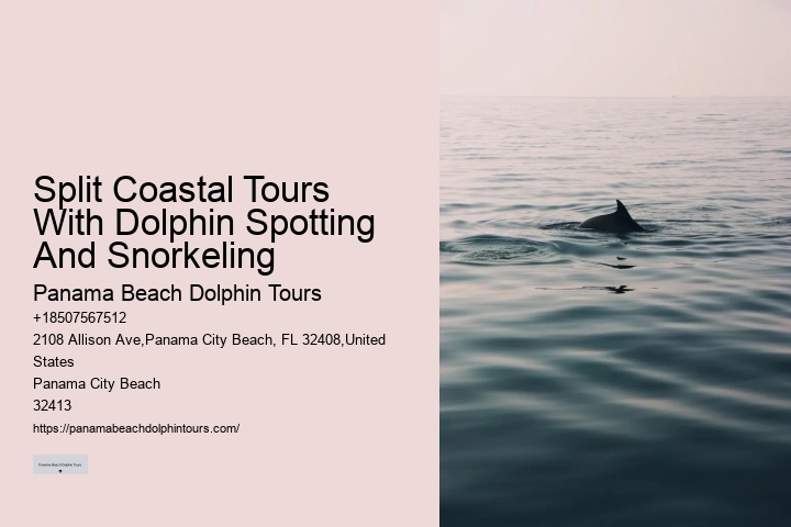 Are dolphin tours in Panama City Beach narrated by guides