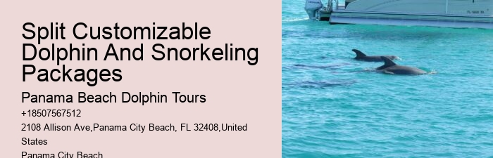 Panama City Beach Dolphin Tours & More Panama City Fl