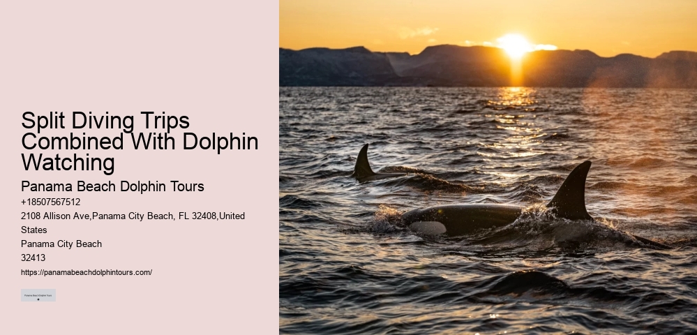 What Is The Life Expectancy Of A Dolphin In Captivity