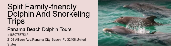 Shell Island Blue Dolphin Tours