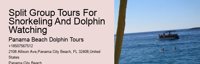 Are Dolphins Naturally Friendly Toward Humans If So