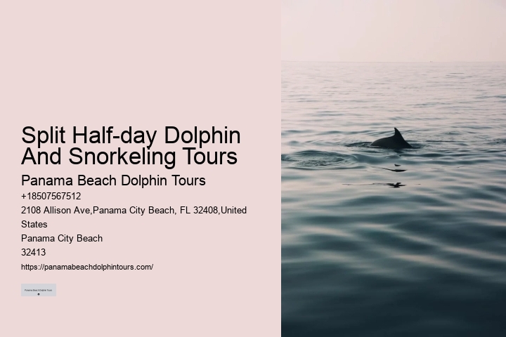 Dolphin Tours Rehoboth Beach