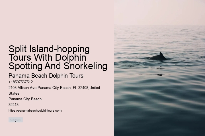 Exclusive Dolphin Discovery and Snorkeling Trips