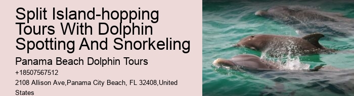 30a Dolphin Tours