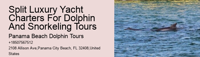 Split Personalized Dolphin And Snorkeling Charters