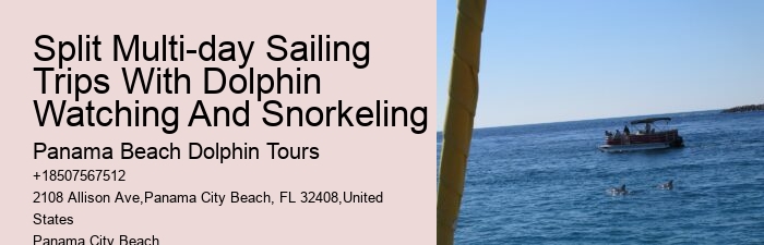 Split Customized Snorkeling And Dolphin Itineraries