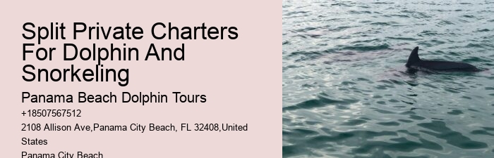 Panama City Beach dolphin cruise