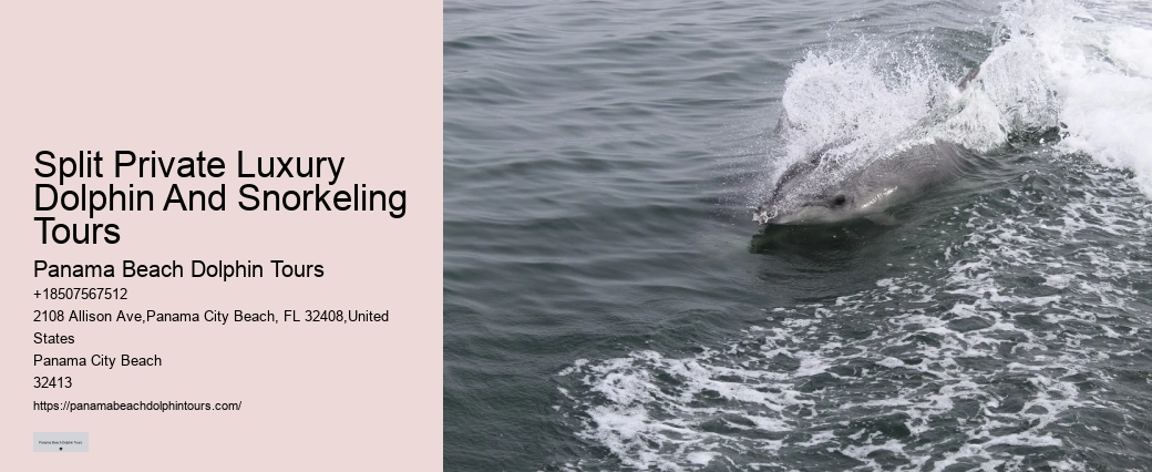Can I book a private dolphin tour in Panama City Beach