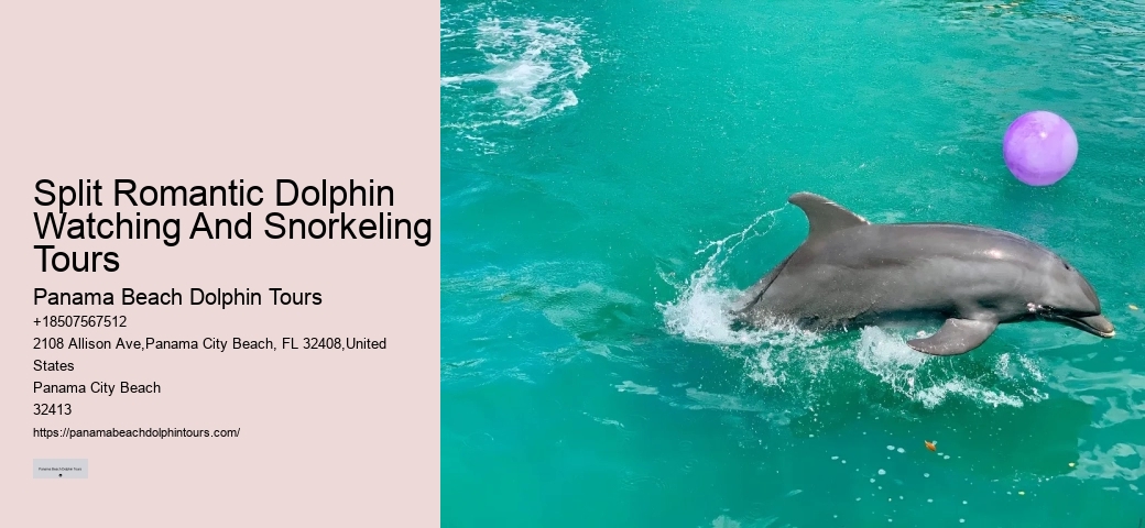 How Deep Is The Water When You Swim With Dolphins