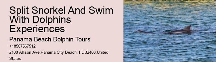 Panama City Beach wildlife tours including dolphins