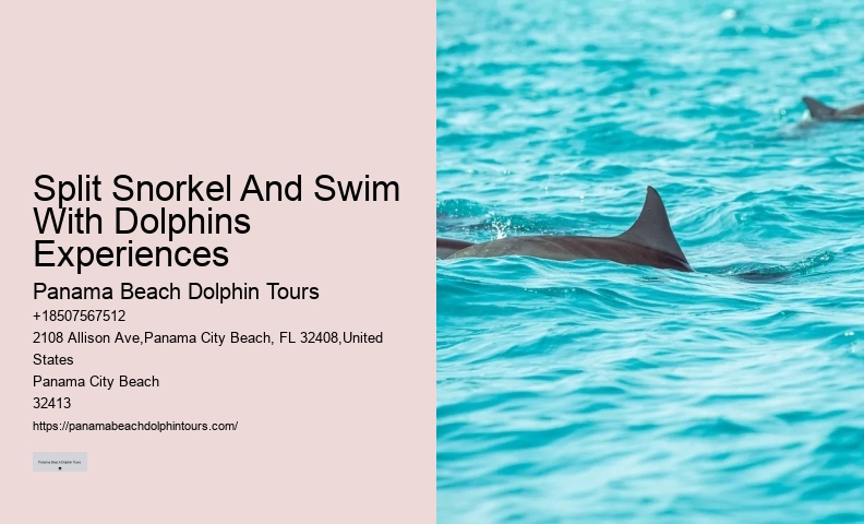 Are dolphin tours in Panama City Beach suitable for children