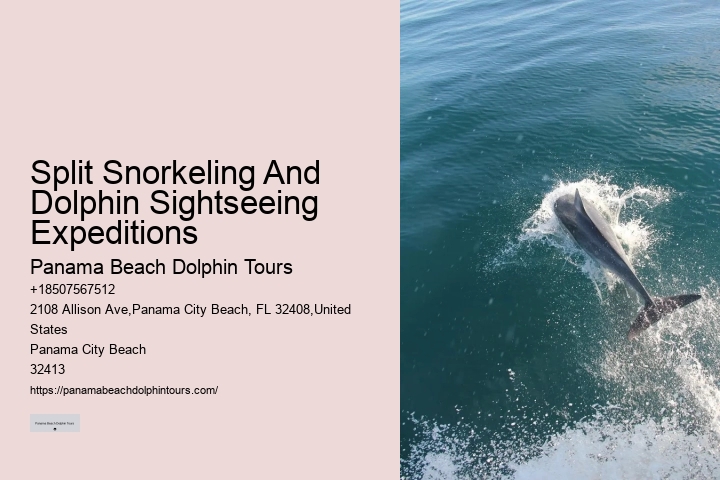 Panama City Beach dolphin spotting cruises