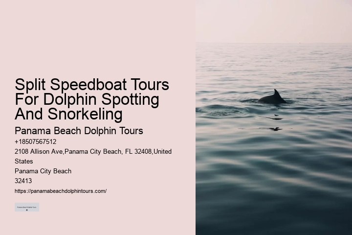 Exclusive Dolphin Discovery and Snorkeling Trips