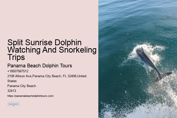 Is swimming with dolphins an additional cost on the tour