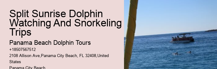 Tour Panama City Beach