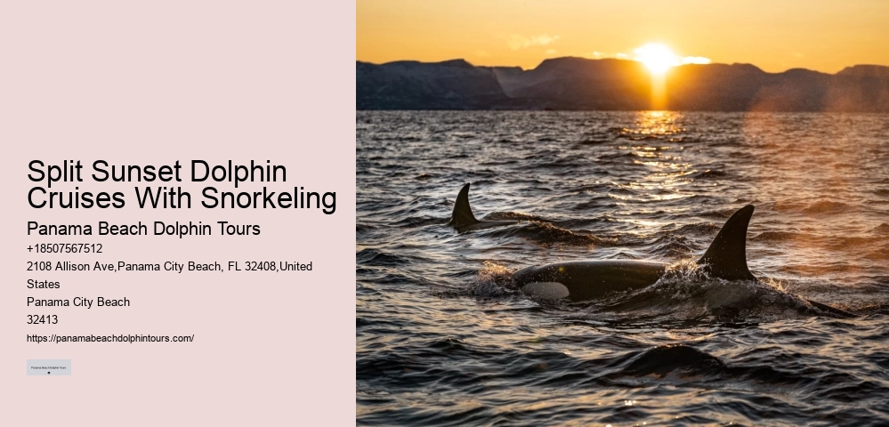 This Is How Dolphins 'see' Humans With Echolocation