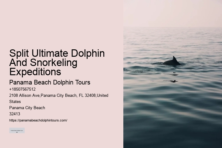 How To Catch Fish Even When Dolphins Are Around