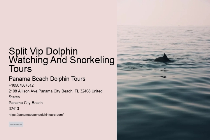 Dolphin And Snorkeling Combo Tours Departing From Split