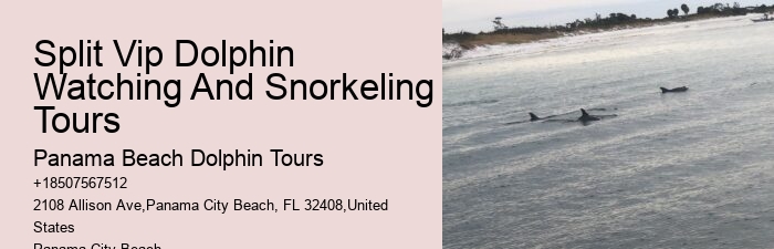 Best Sunset Dolphin Cruise Panama City Beach