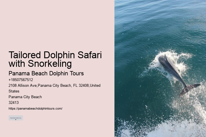Panama Beach Dolphin Tours