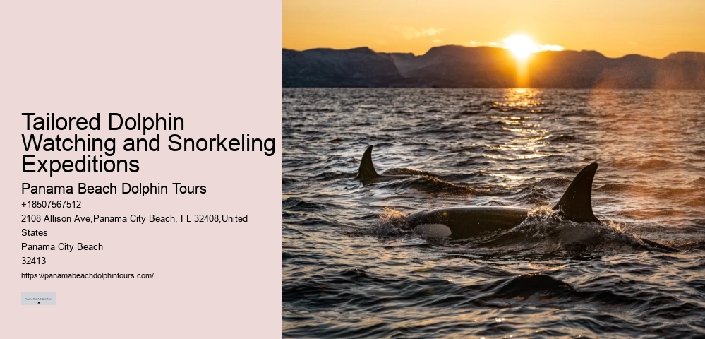 Private Dolphin Tours Orange Beach