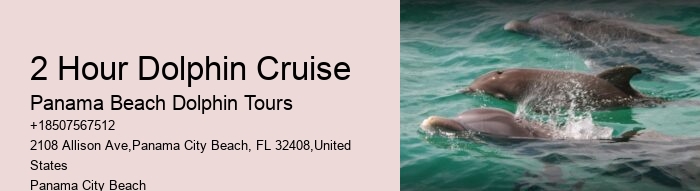 Exclusive Dolphin Watching and Snorkeling Adventures