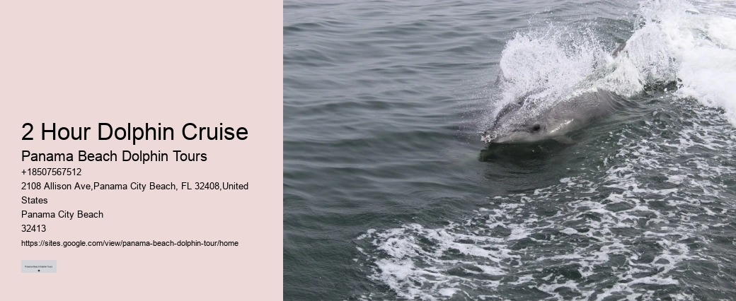 What Predator Kills Dolphins