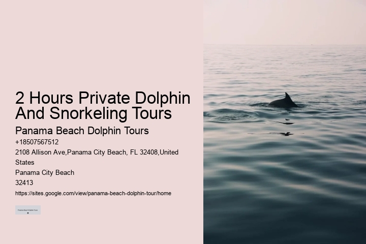 What To Do If A Dolphin Approaches You