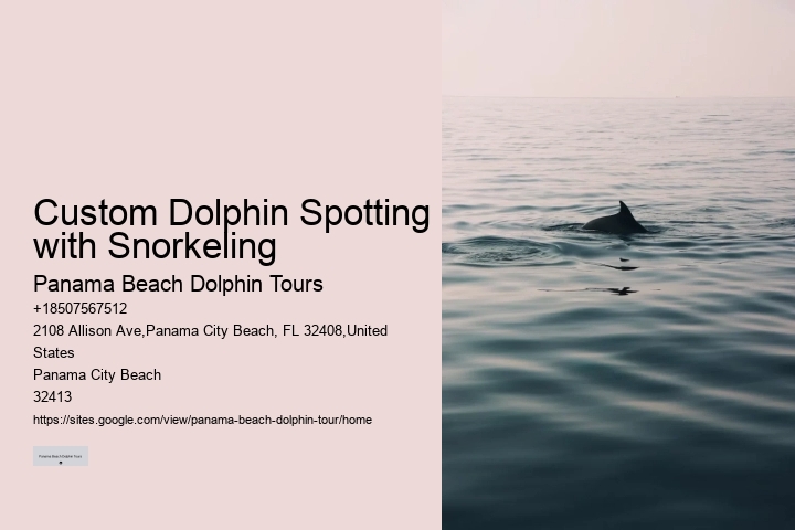 Split Charter Dolphin And Snorkeling Tours