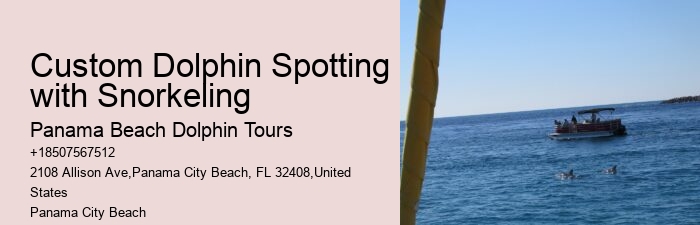 Private Dolphin Tours Gulf Shores