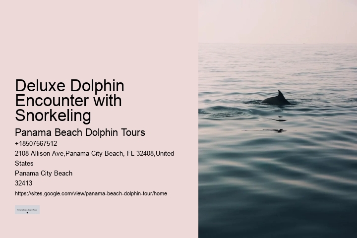 Dolphin Tour And Snorkeling Near Me