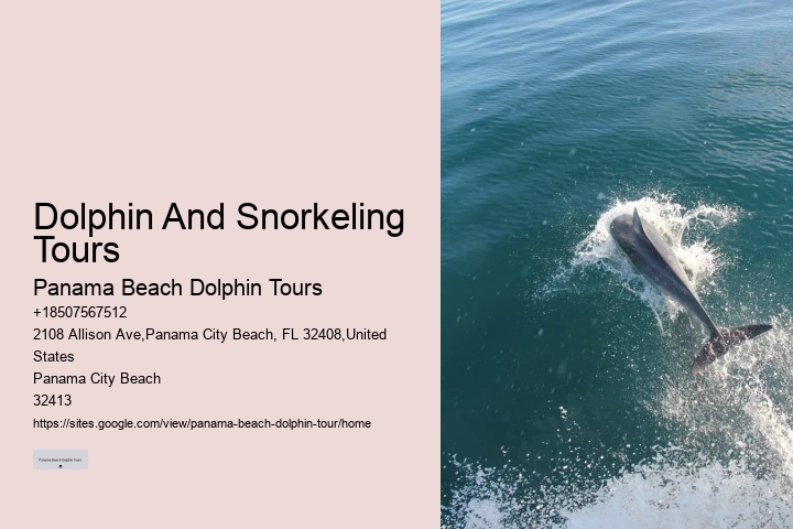 Panama City Beach dolphin spotting excursions