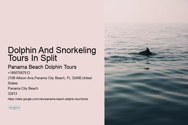 Do You Need A Wetsuit To Swim With Dolphins