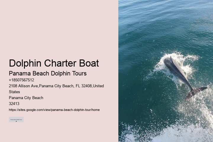 Dolphin Swim With Unlimited Food & Drinks
