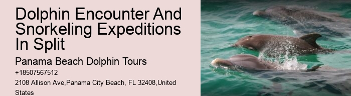 Panama City Beach Speed Boat Tour