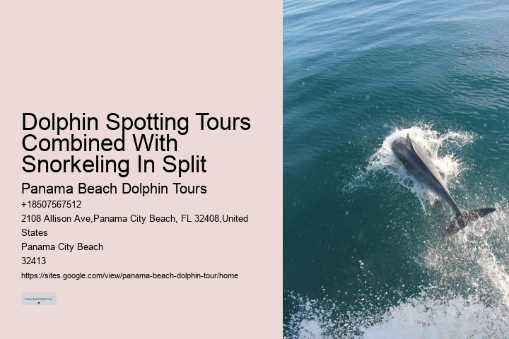 Snorkeling and Dolphin Tour
