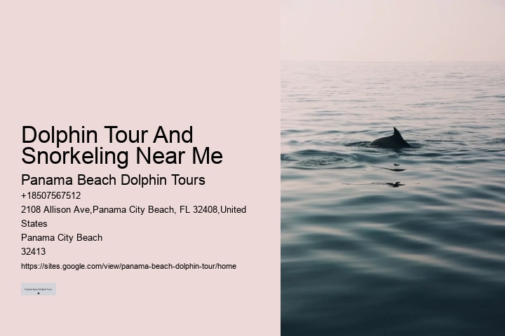 Is It Worth It To Swim With Dolphins