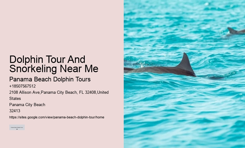 Why Not To Swim With Dolphins