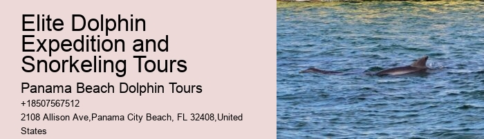 Panama City Beach dolphin boat trips