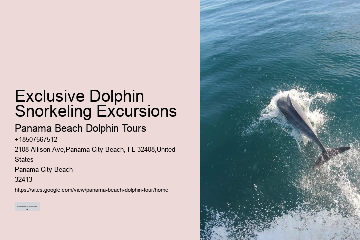 Can I take photos during the dolphin tour in Panama City Beach