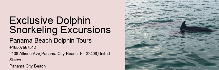 What type of boats are used for dolphin tours in Panama City Beach