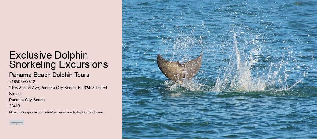 Panama City Beach dolphin expedition cruises
