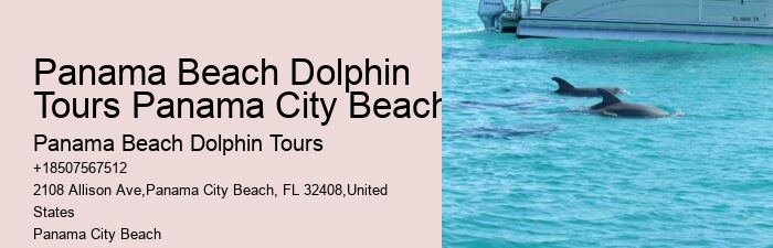 Do Dolphins Ever Bite Hooks