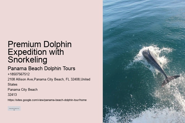 Panama City Beach dolphin discovery experiences